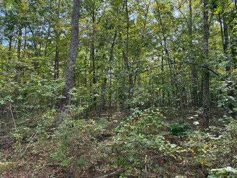 Tiny photo for 2795 Raulston Falls Road, Jasper, TN 37347 (MLS # 1512894)