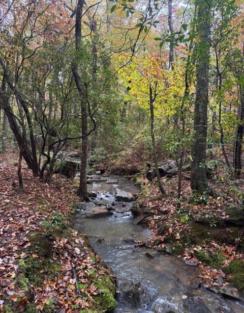 Tiny photo for 2795 Raulston Falls Road, Jasper, TN 37347 (MLS # 1512894)