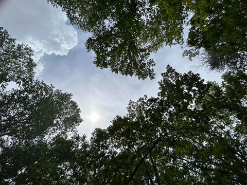 Tiny photo for 2795 Raulston Falls Road, Jasper, TN 37347 (MLS # 1512894)