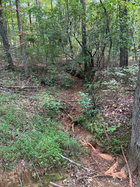 Tiny photo for 2795 Raulston Falls Road, Jasper, TN 37347 (MLS # 1512894)