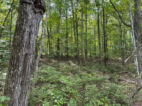 Tiny photo for 2795 Raulston Falls Road, Jasper, TN 37347 (MLS # 1512894)