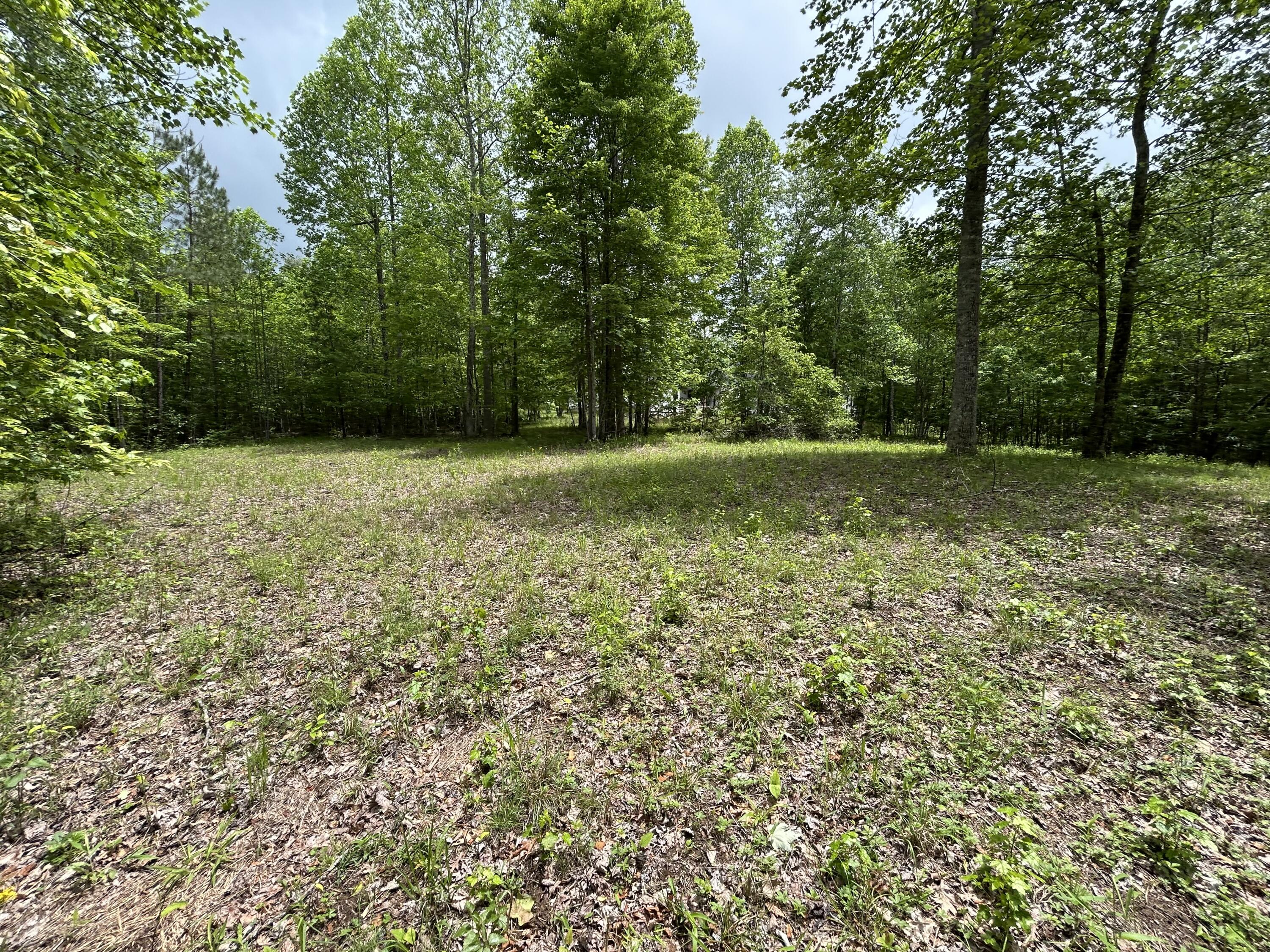 2795 Raulston Falls Road #JF-5, Jasper, Tennessee image 6