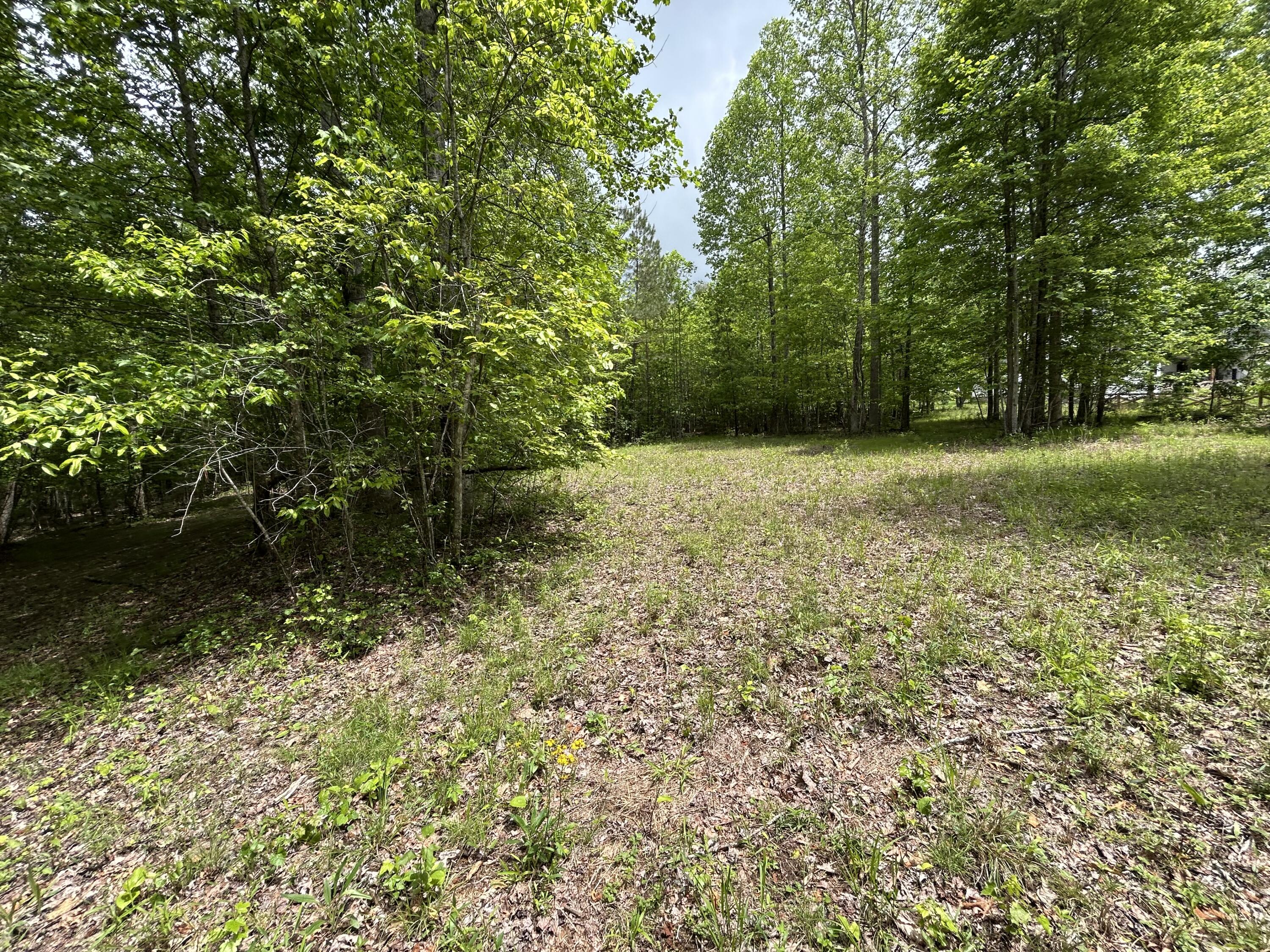 2795 Raulston Falls Road #JF-5, Jasper, Tennessee image 7