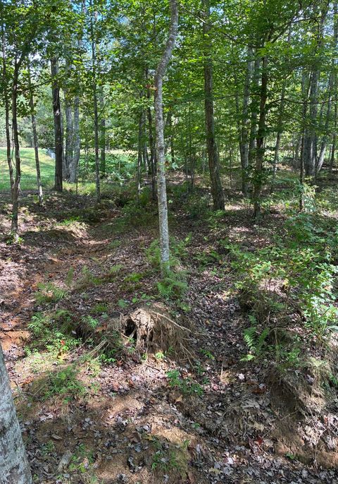 Tiny photo for 2795 Raulston Falls Road, Jasper, TN 37347 (MLS # 1512894)