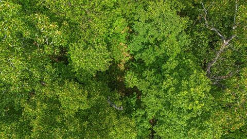 Tiny photo for 2795 Raulston Falls Road, Jasper, TN 37347 (MLS # 1512894)