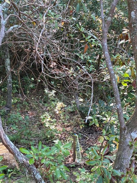 Tiny photo for 2795 Raulston Falls Road, Jasper, TN 37347 (MLS # 1512894)