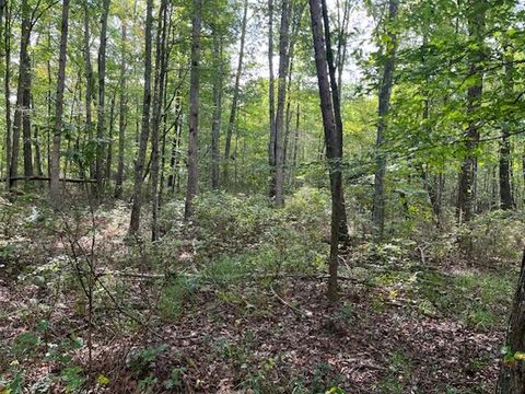 Tiny photo for 2795 Raulston Falls Road, Jasper, TN 37347 (MLS # 1512894)