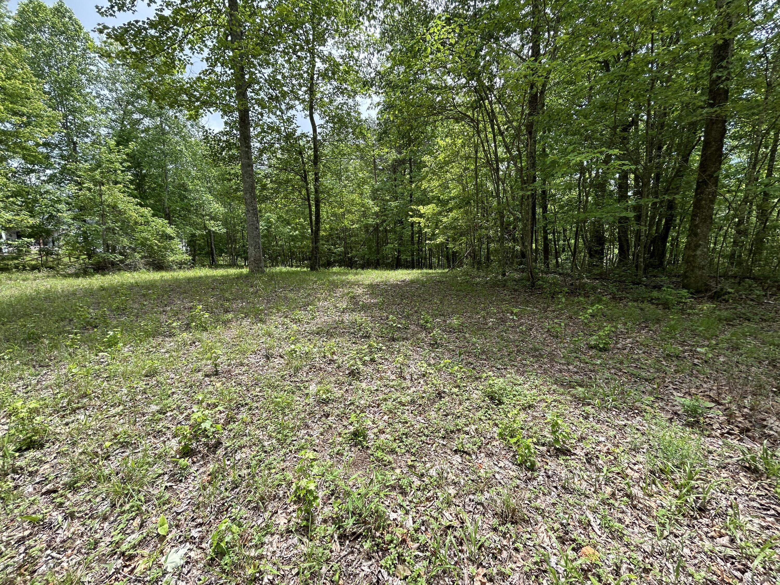 2795 Raulston Falls Road #JF-5, Jasper, Tennessee image 5