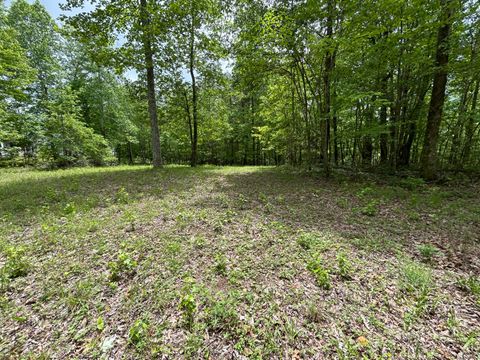 Tiny photo for 2795 Raulston Falls Road, Jasper, TN 37347 (MLS # 1512894)