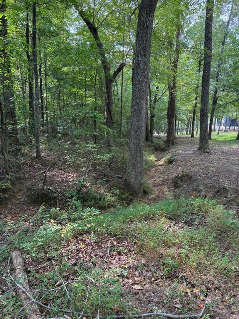 Tiny photo for 2795 Raulston Falls Road, Jasper, TN 37347 (MLS # 1512894)