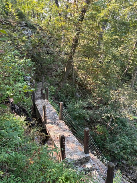 Tiny photo for 2795 Raulston Falls Road, Jasper, TN 37347 (MLS # 1512894)