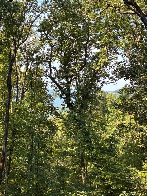 Tiny photo for 2795 Raulston Falls Road, Jasper, TN 37347 (MLS # 1512894)