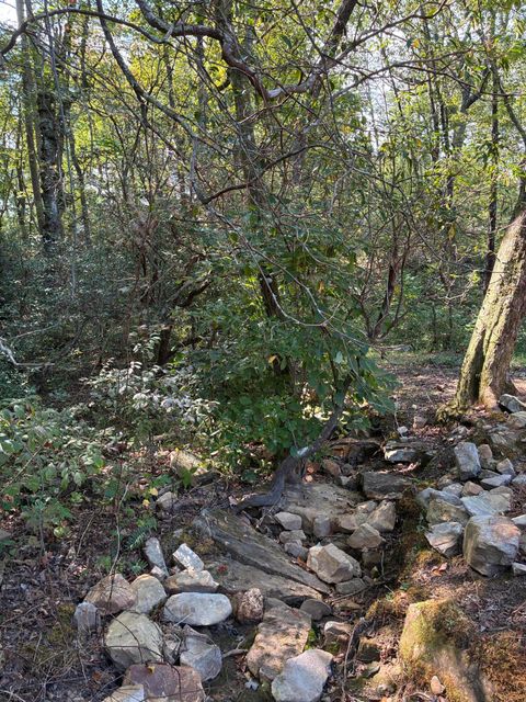 Tiny photo for 2795 Raulston Falls Road, Jasper, TN 37347 (MLS # 1512894)