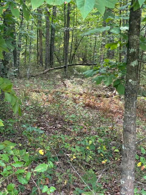 Tiny photo for 2795 Raulston Falls Road, Jasper, TN 37347 (MLS # 1512894)