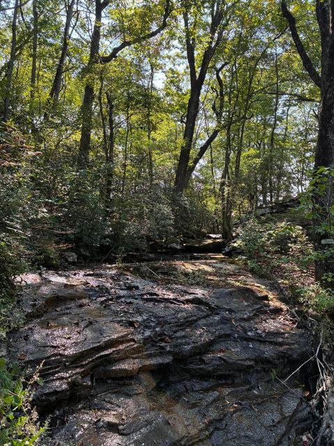 Tiny photo for 2795 Raulston Falls Road, Jasper, TN 37347 (MLS # 1512894)