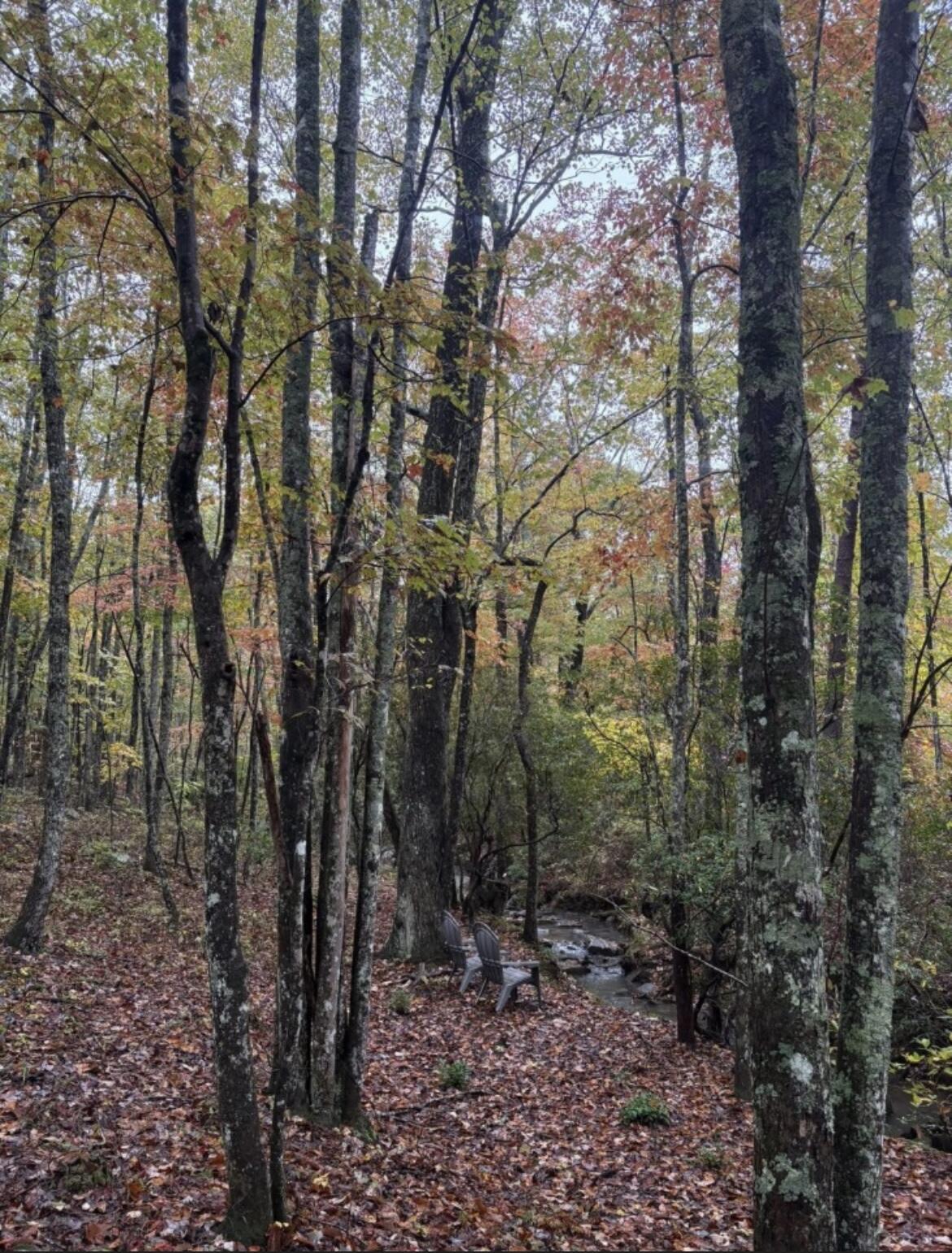 2795 Raulston Falls Road Jf-5