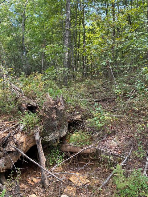 Tiny photo for 2795 Raulston Falls Road, Jasper, TN 37347 (MLS # 1512894)