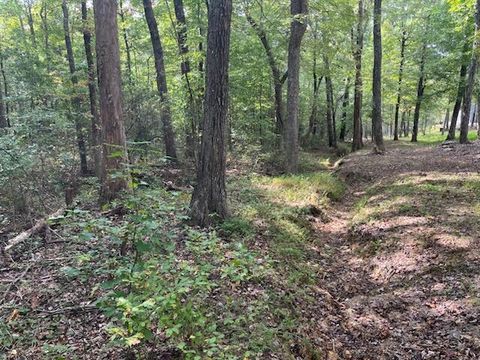 Tiny photo for 2795 Raulston Falls Road, Jasper, TN 37347 (MLS # 1512894)