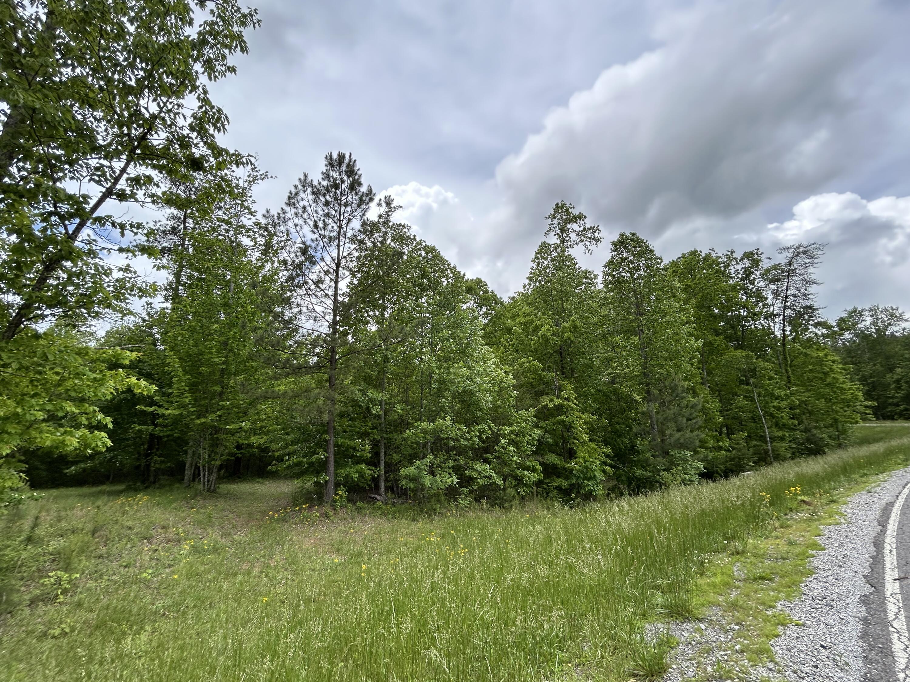 2795 Raulston Falls Road #JF-5, Jasper, Tennessee image 11