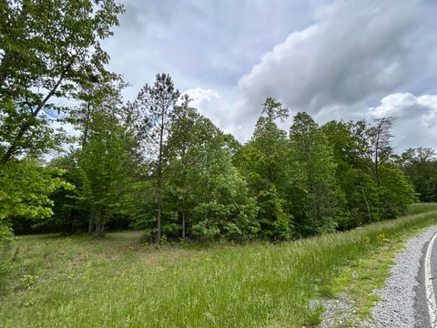 Tiny photo for 2795 Raulston Falls Road, Jasper, TN 37347 (MLS # 1512894)