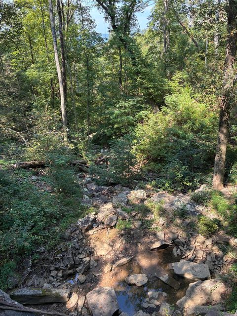Tiny photo for 2795 Raulston Falls Road, Jasper, TN 37347 (MLS # 1512894)