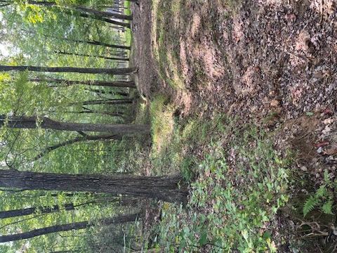 Tiny photo for 2795 Raulston Falls Road, Jasper, TN 37347 (MLS # 1512894)