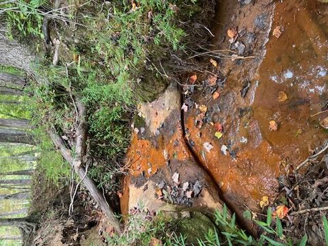 Tiny photo for 2795 Raulston Falls Road, Jasper, TN 37347 (MLS # 1512894)