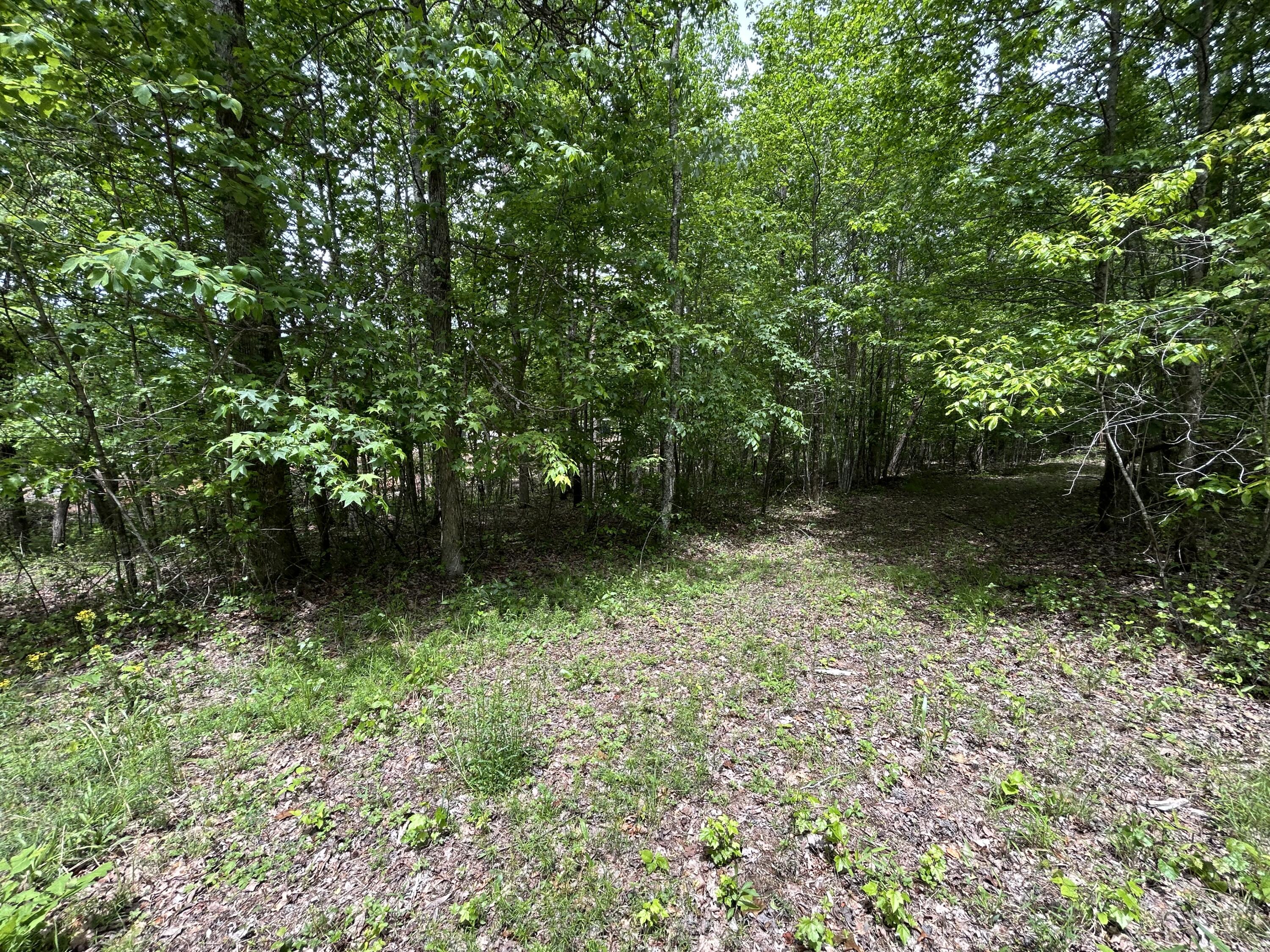 2795 Raulston Falls Road #JF-5, Jasper, Tennessee image 8