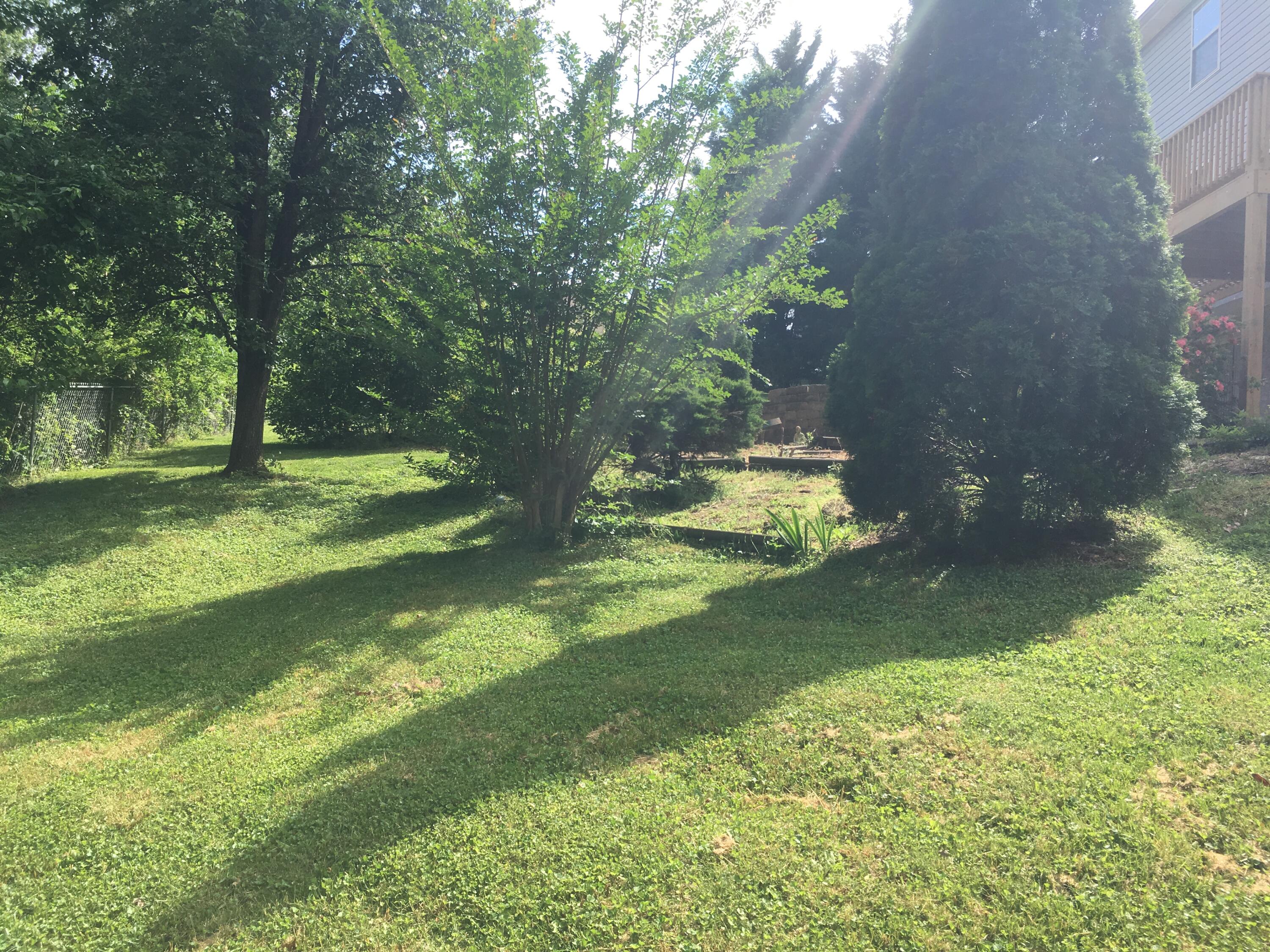 6206 Sagefield Drive, Harrison, Tennessee image 20