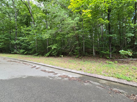 Photo of Lot 136 Lower Brow Road, Dunlap, TN 37327 (MLS # 1538940)