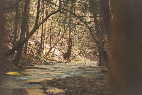 Photo of 12733 Jones Gap Road, Soddy Daisy, TN 37379 (MLS # 1530449)