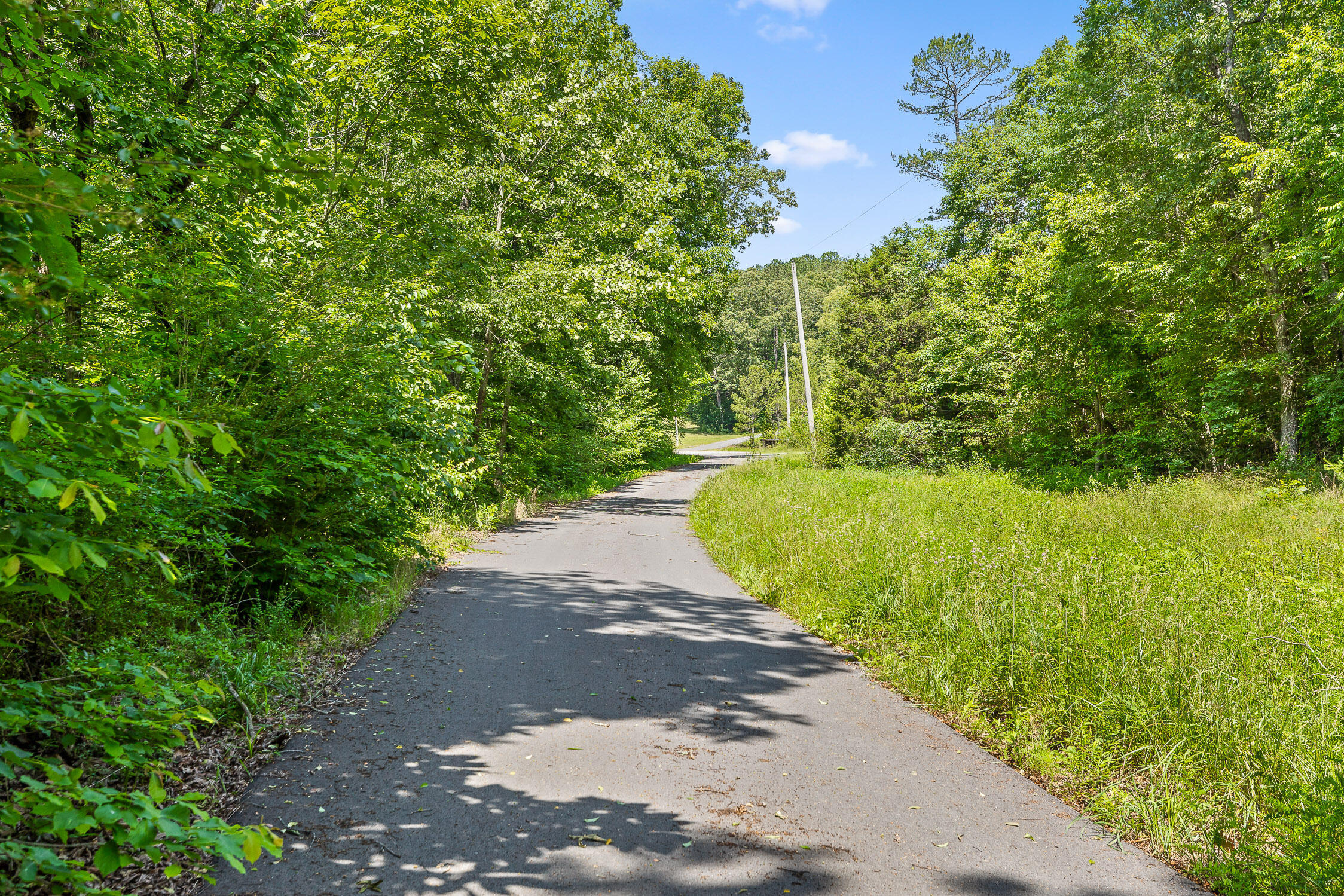 35123 Us Hwy. 11, Valley Head, Alabama image 33