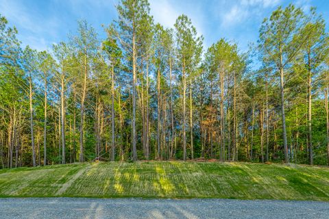Photo of 0 Cannon Way, Guild, TN 37340 (MLS # 1535038)