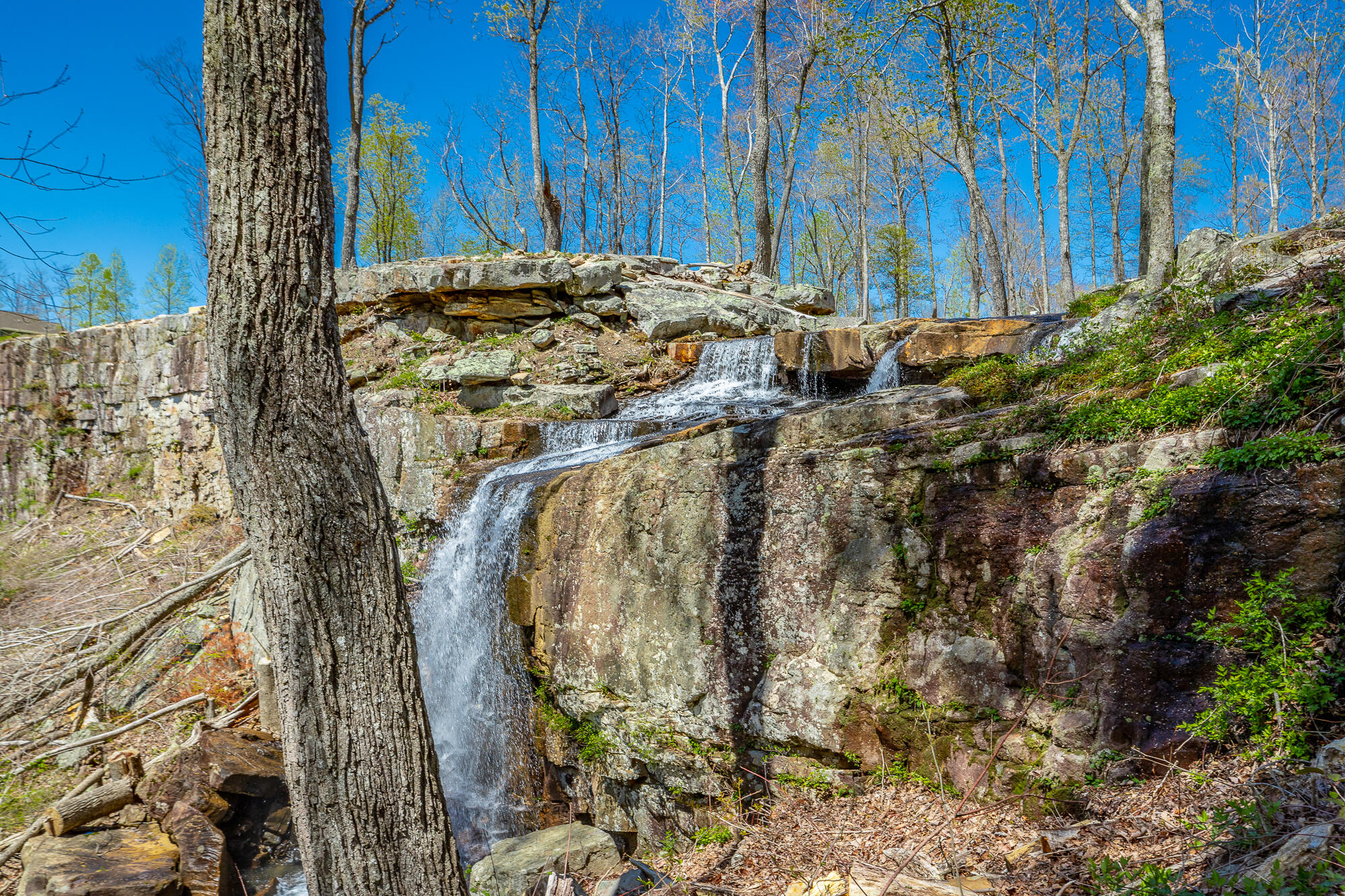 River Bluffs Drive #JH70, Jasper, Tennessee image 6