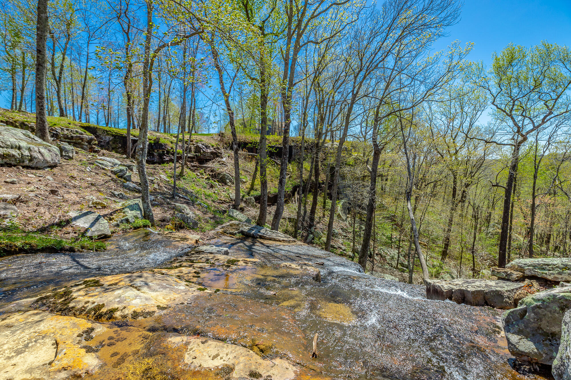 River Bluffs Drive #JH70, Jasper, Tennessee image 13