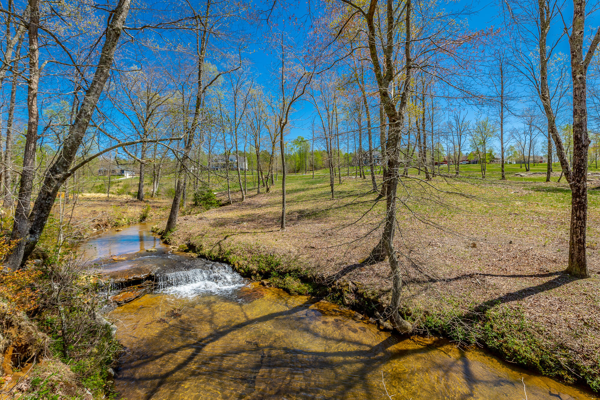 River Bluffs Drive #JH70, Jasper, Tennessee image 32