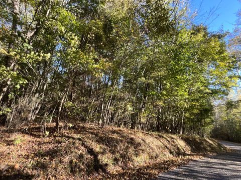 Photo of 0 Ponder Creek Road, LaFayette, GA 30728 (MLS # 1524239)