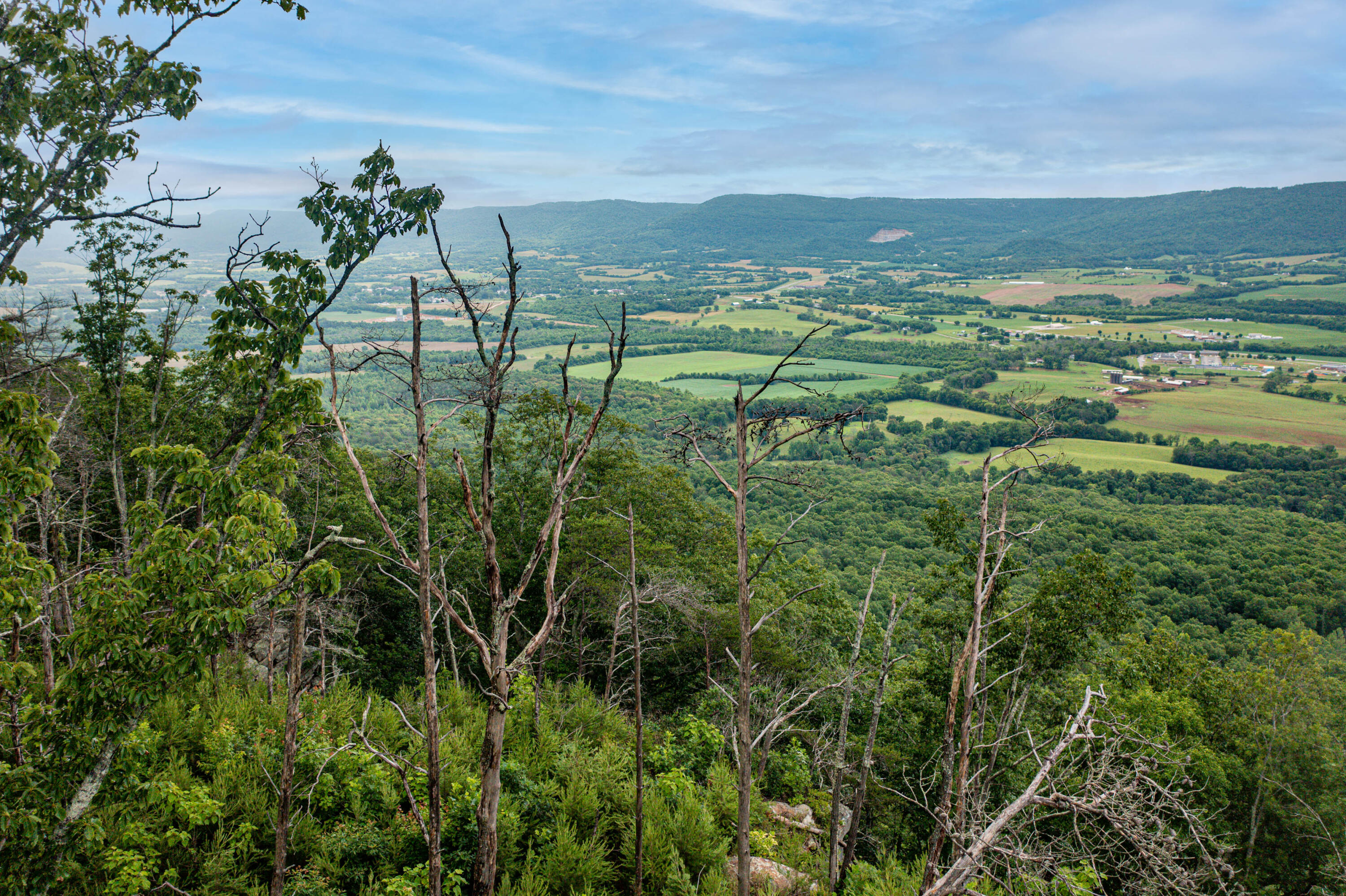 Lot 26 Gray Rock Vw, Pikeville, Tennessee image 9