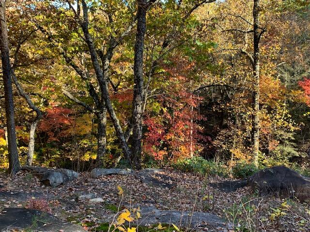 Lot 26 Gray Rock Vw, Pikeville, Tennessee image 3