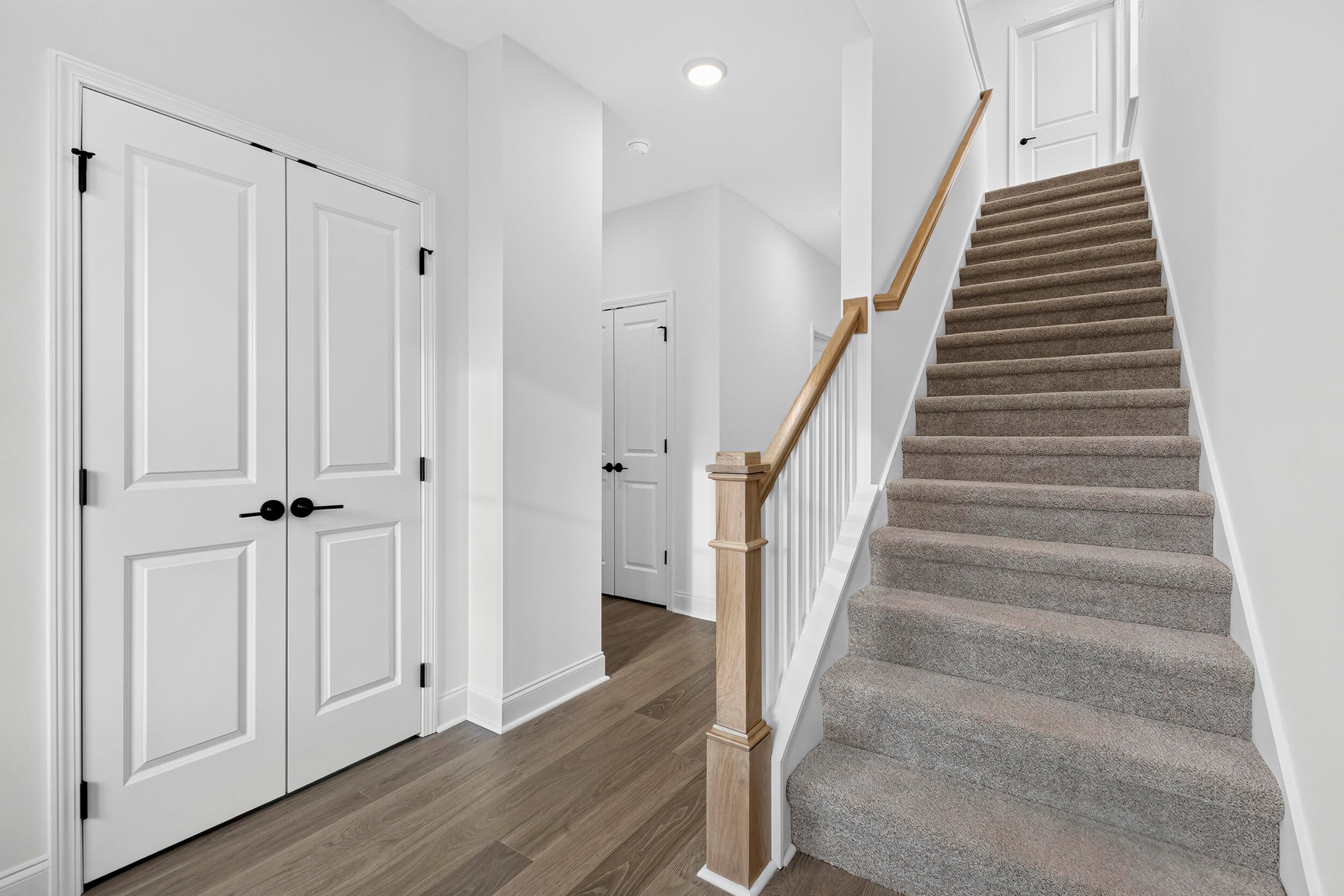 6546 Elizabeth Ann Way Lot 113