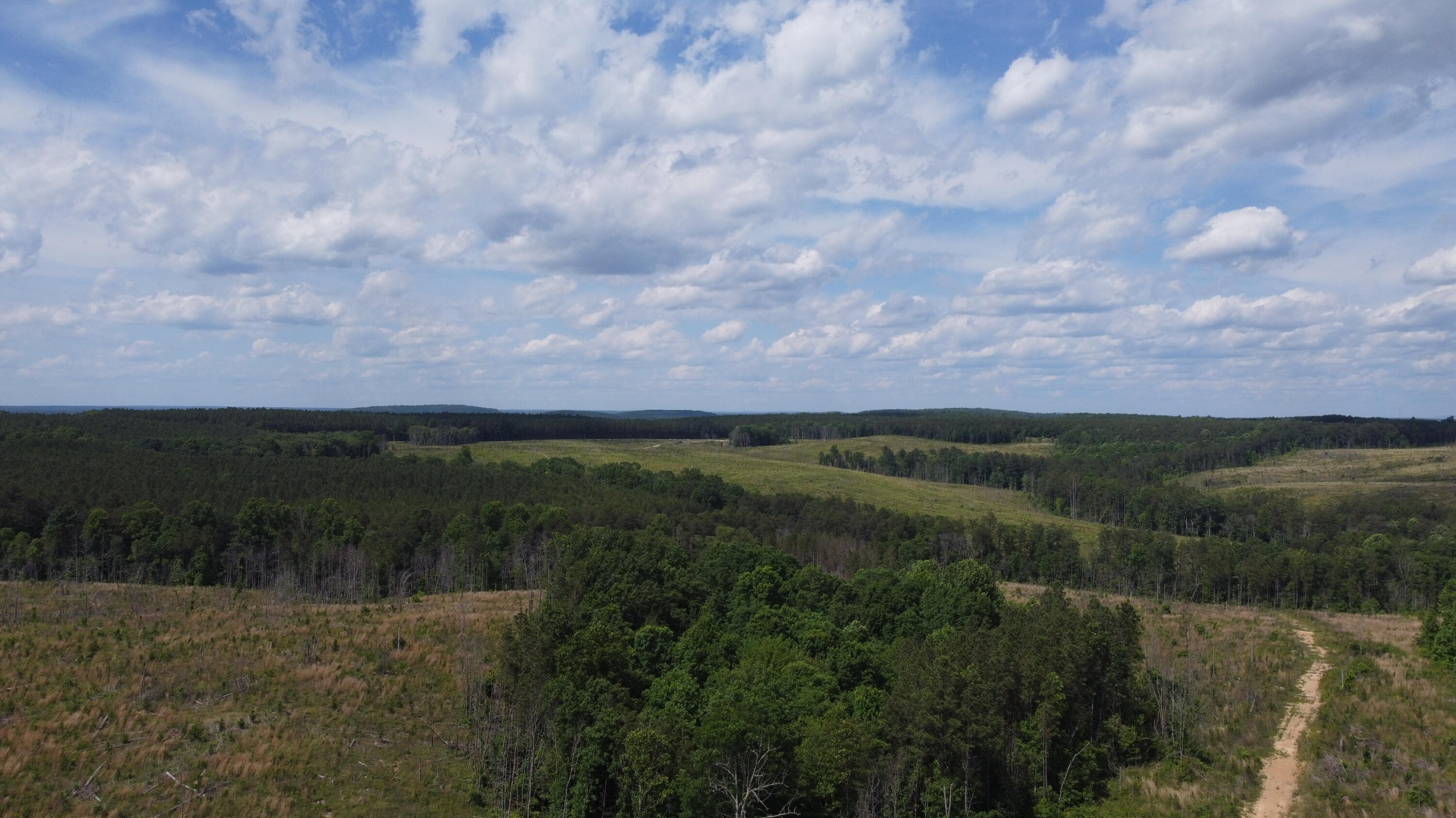 258 Tn-399, Dunlap, Tennessee image 11