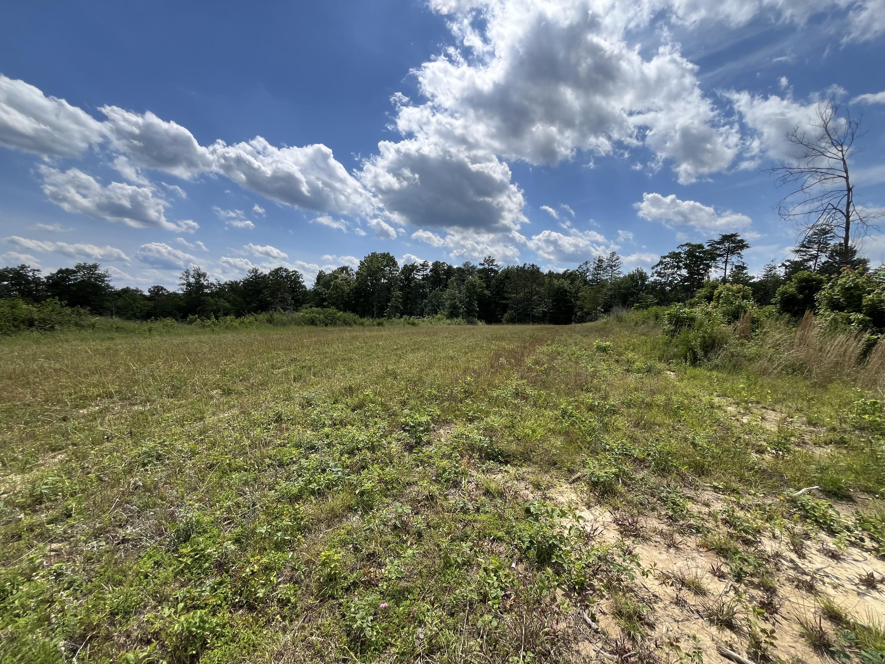 258 Tn-399, Dunlap, Tennessee image 6