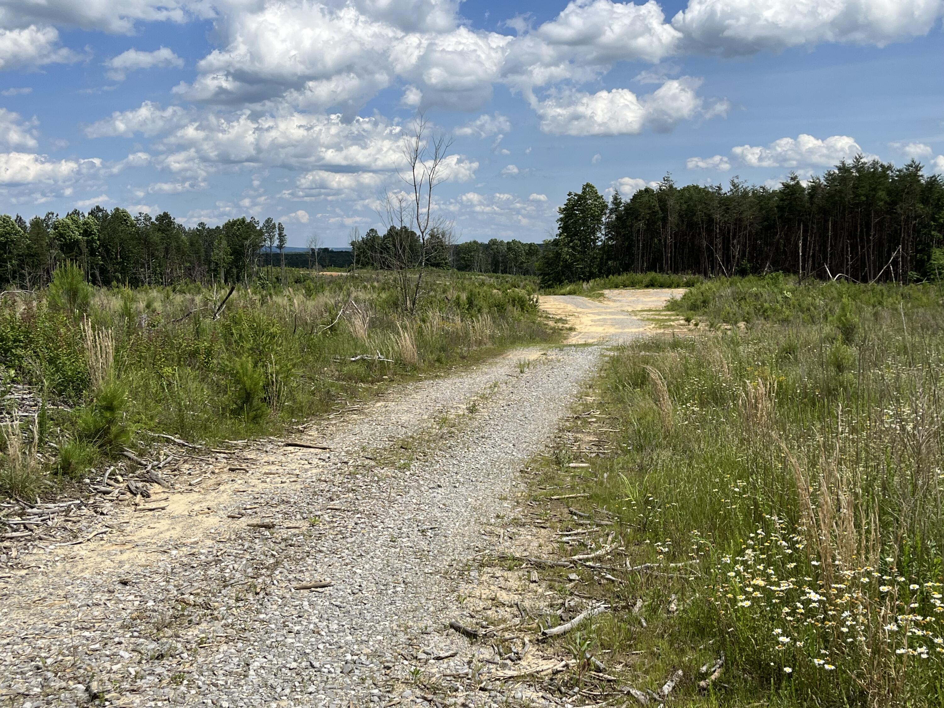 258 Tn-399, Dunlap, Tennessee image 4