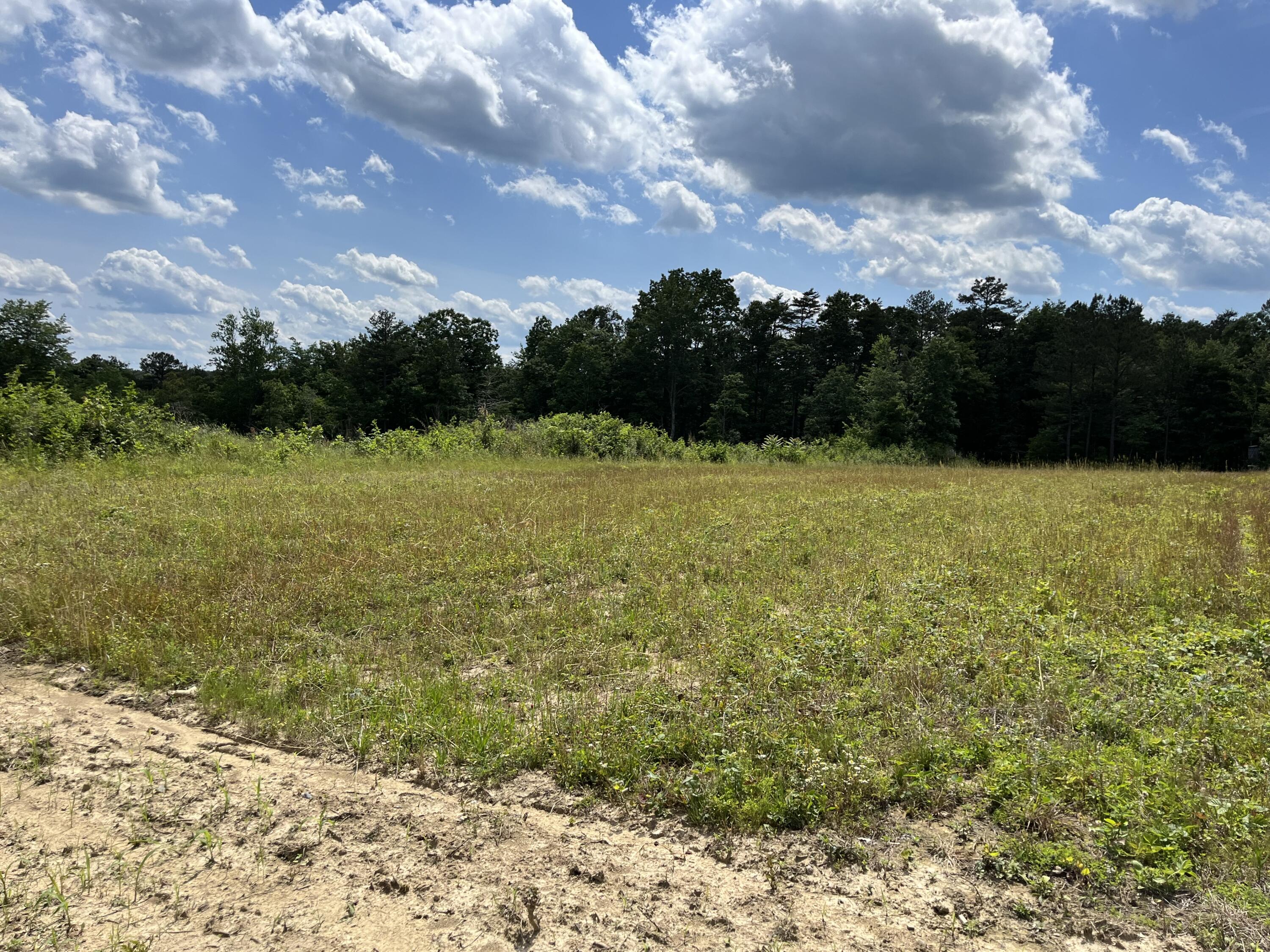 258 Tn-399, Dunlap, Tennessee image 2