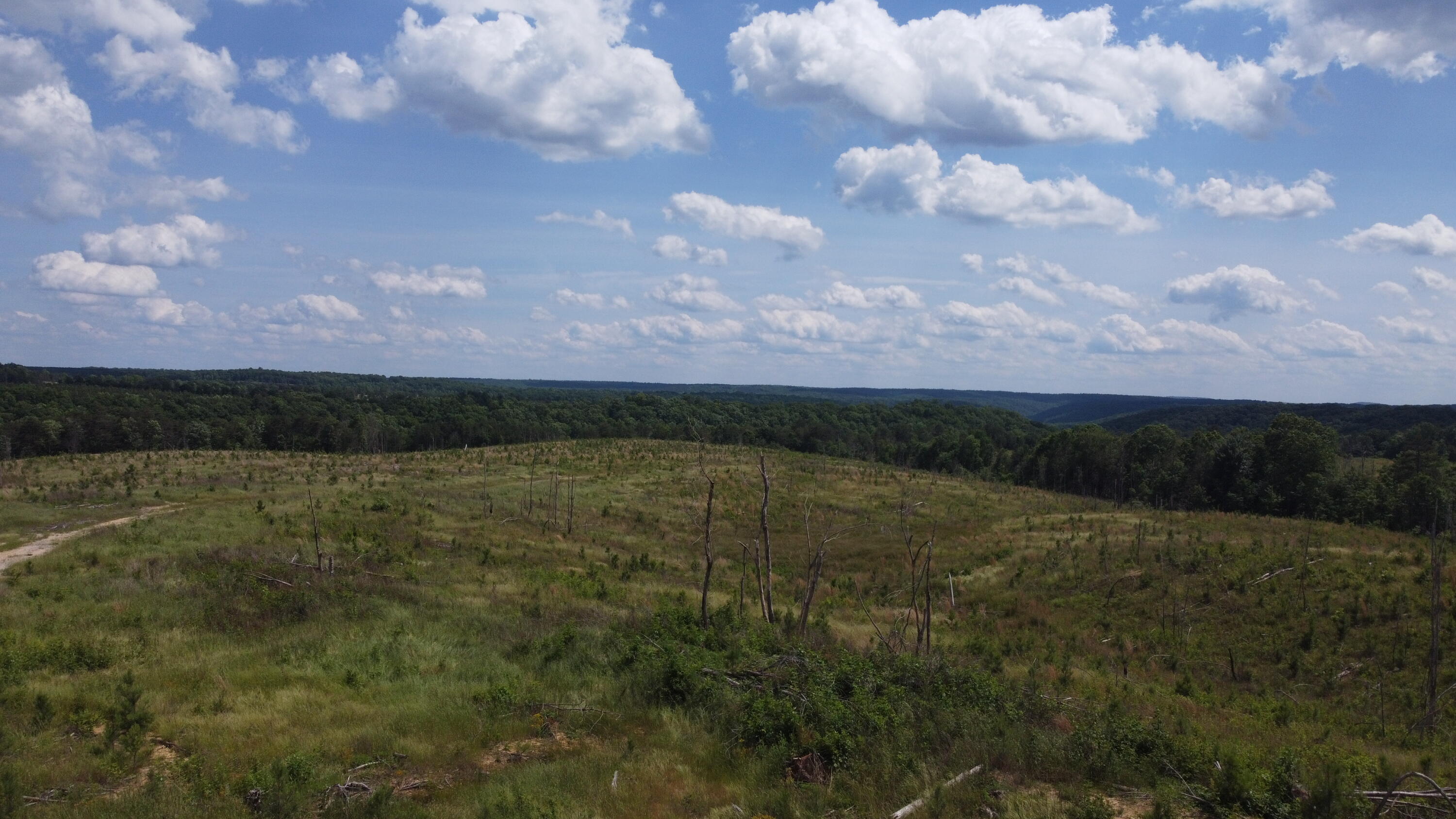 258 Tn-399, Dunlap, Tennessee image 7
