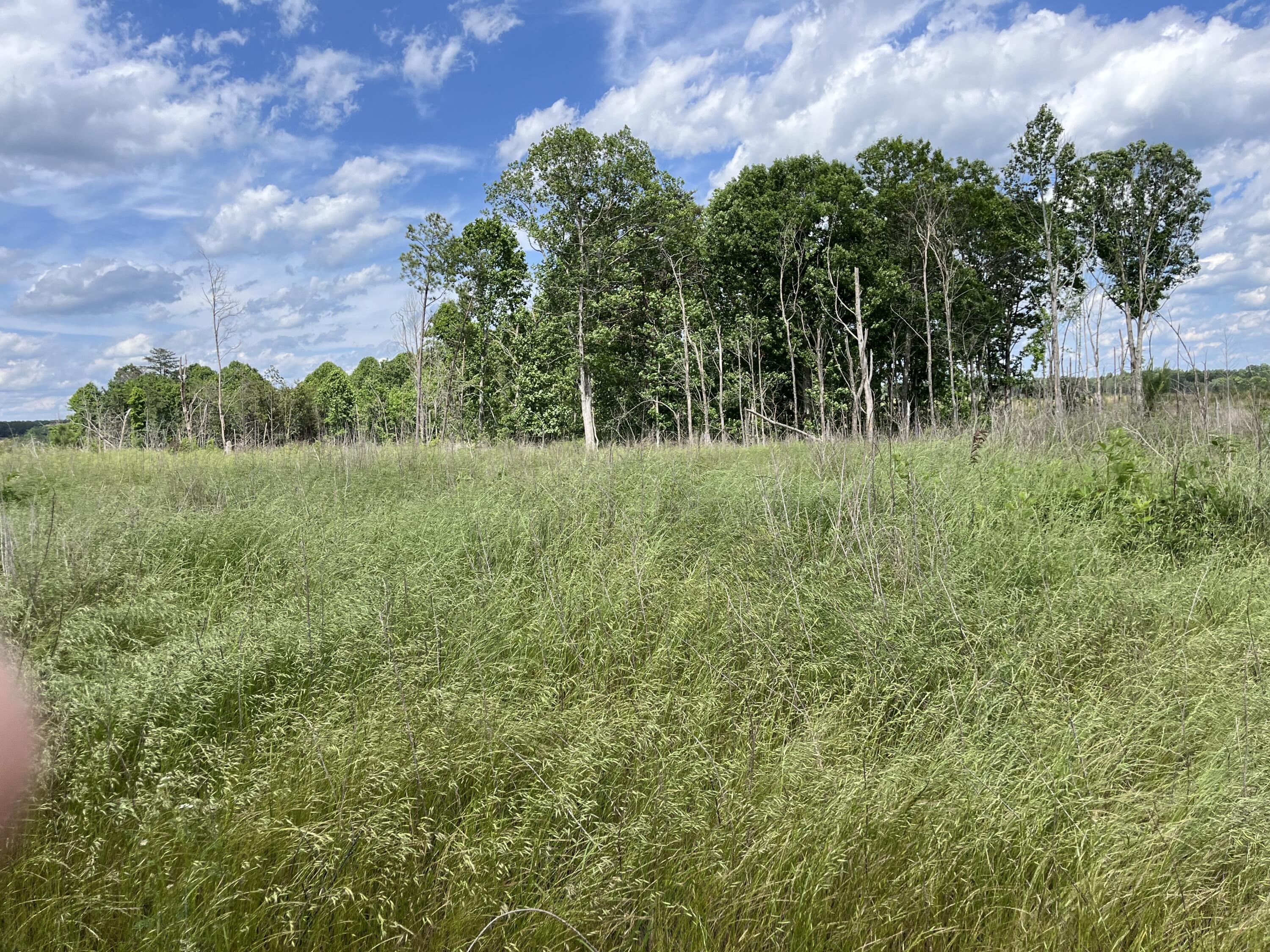 258 Tn-399, Dunlap, Tennessee image 5