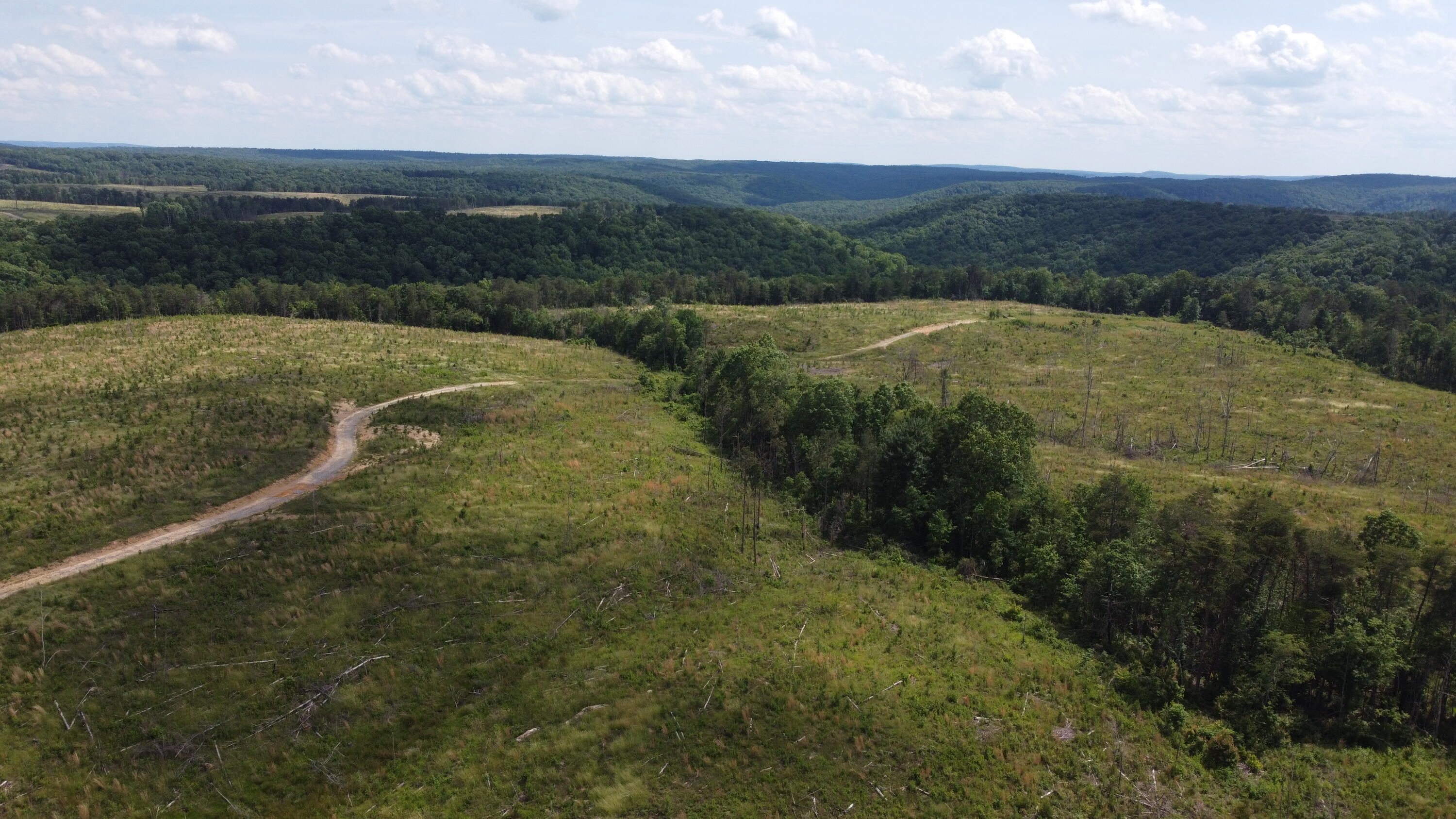 258 Tn-399, Dunlap, Tennessee image 13