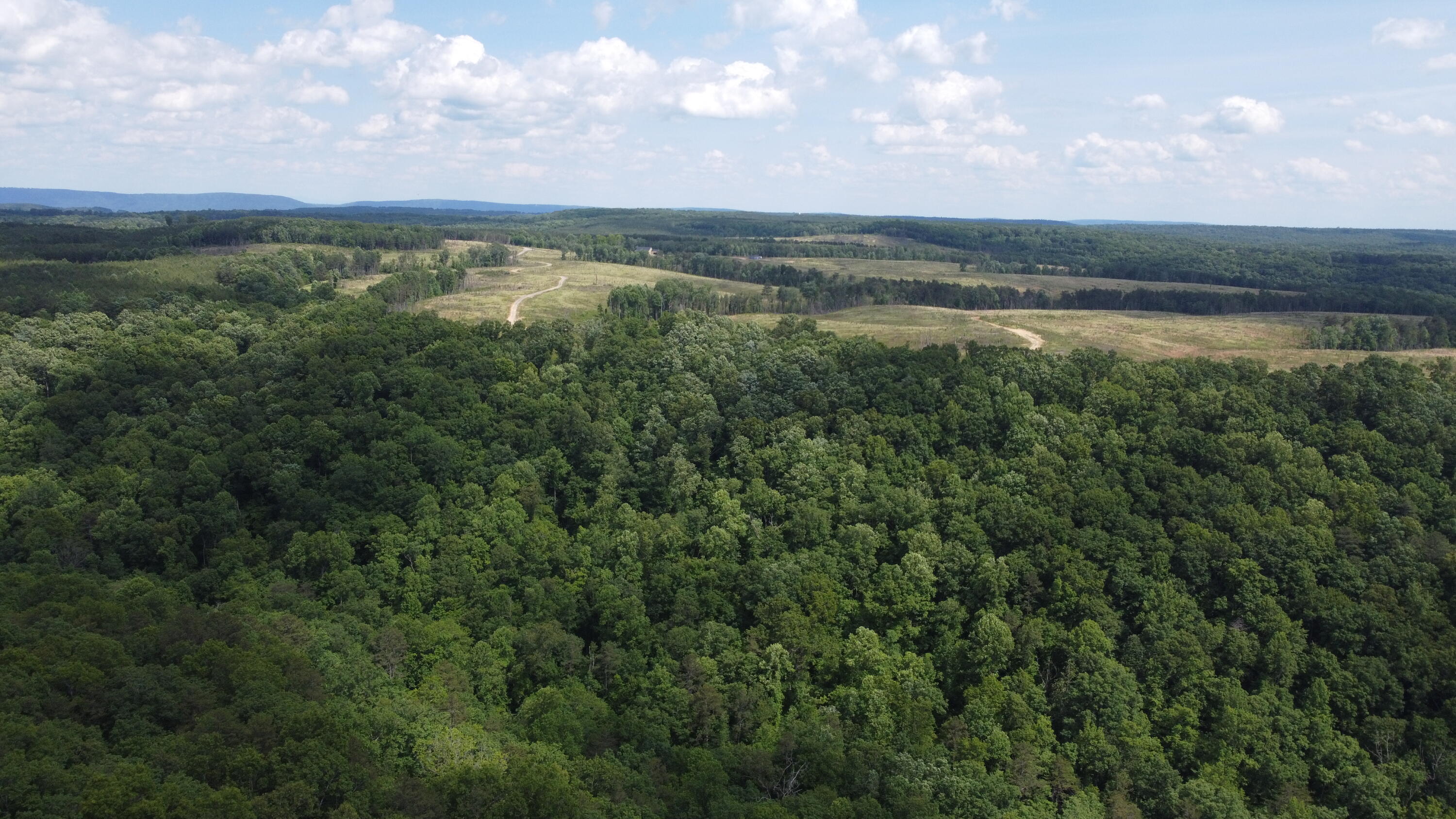 258 Tn-399, Dunlap, Tennessee image 19