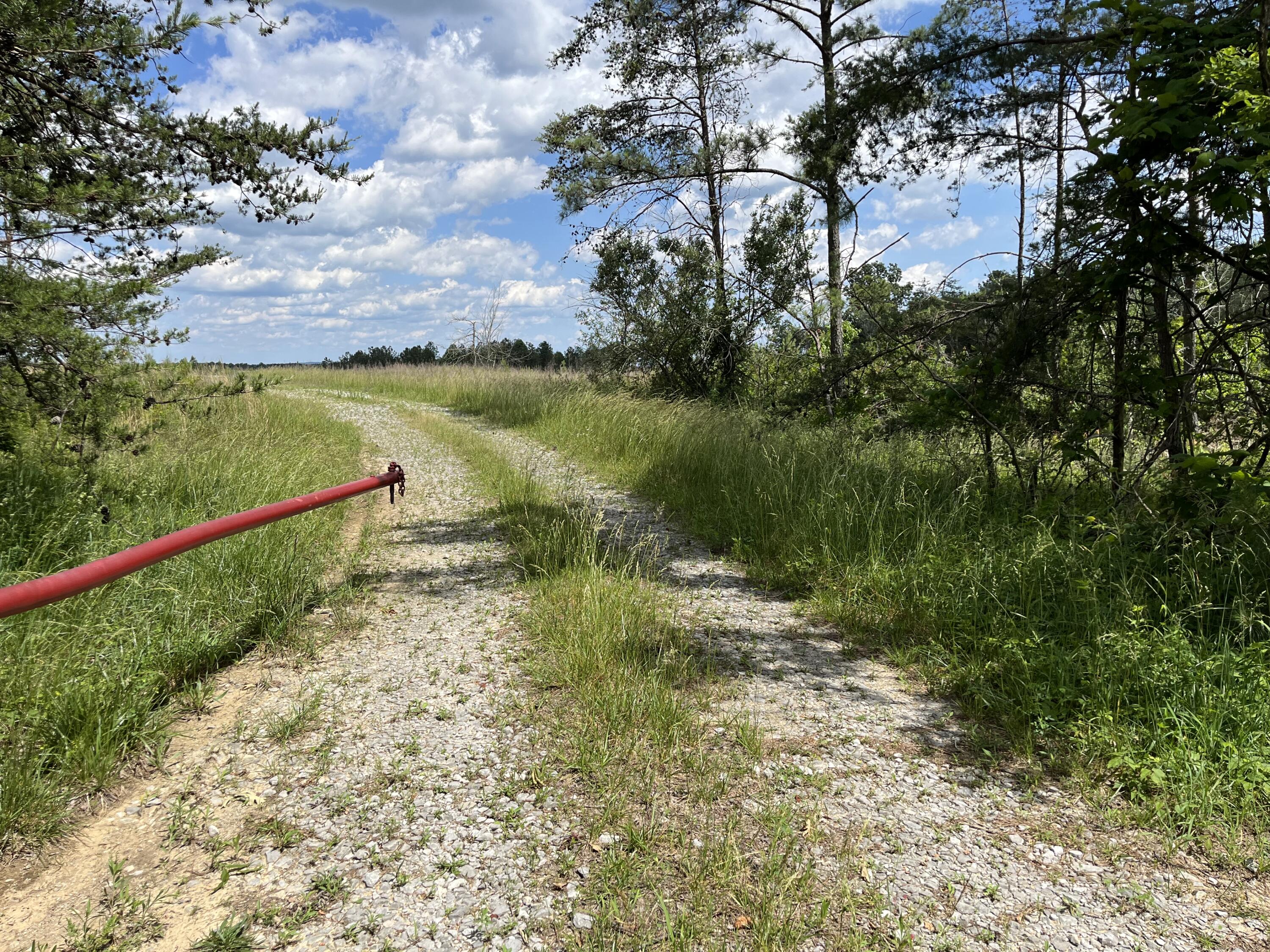 258 Tn-399, Dunlap, Tennessee image 3