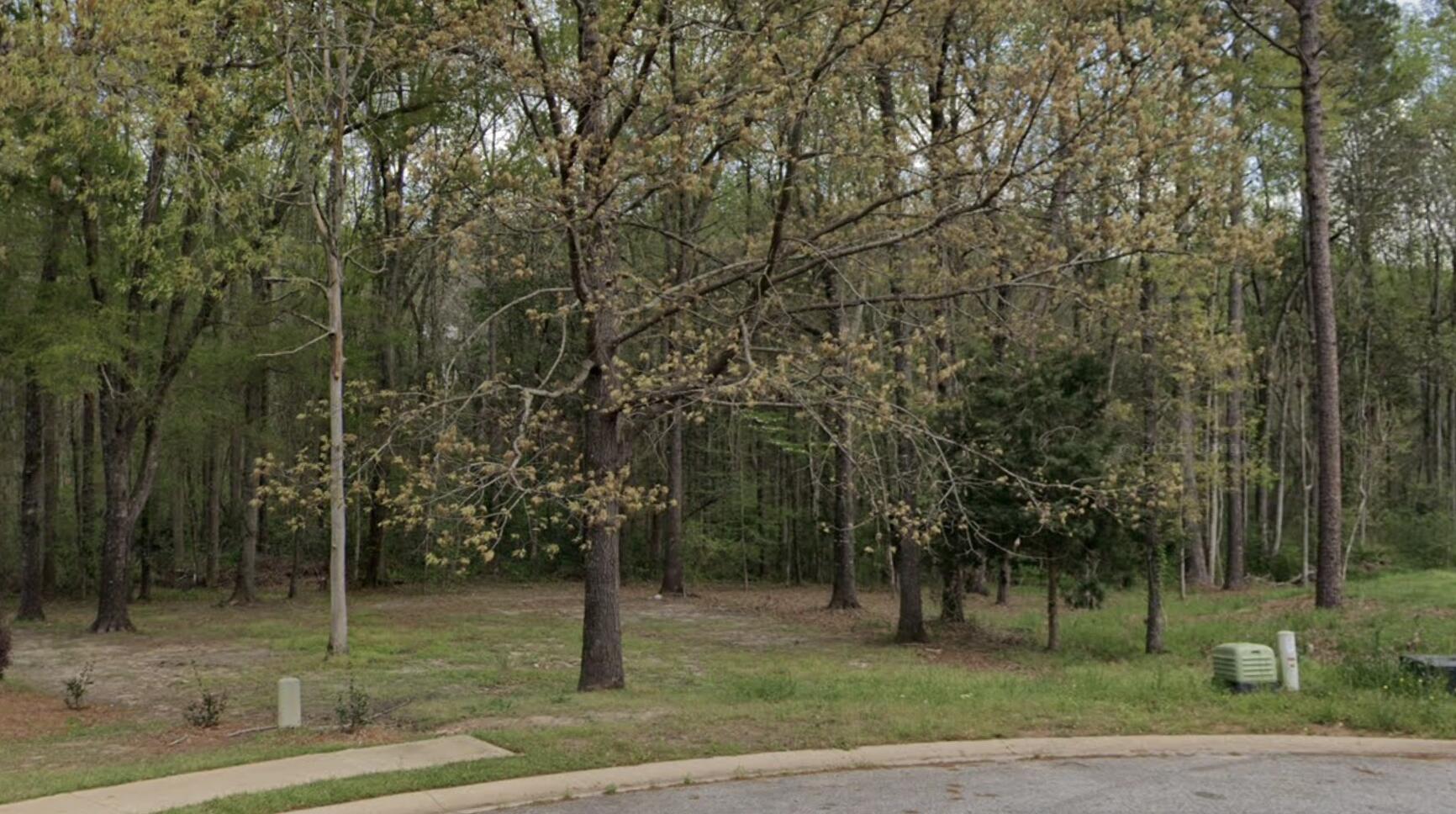 403 Ever Wood Court